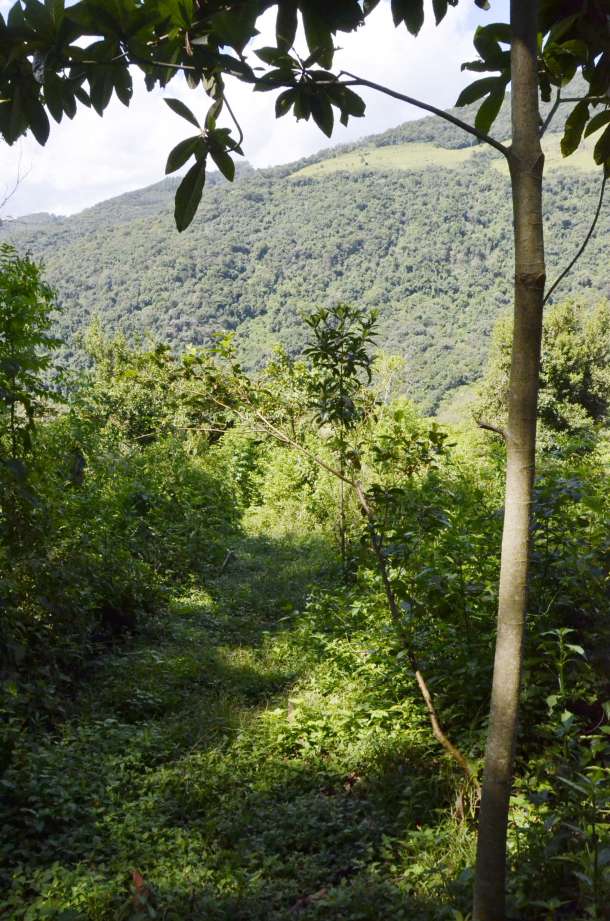 Caminhos