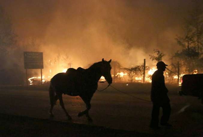 Chamas provocam evacuação de cidade na região Norte do Chile