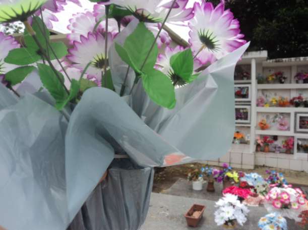 Limpeza de vasos de flores deve ser realizada com frequência nos cemitérios