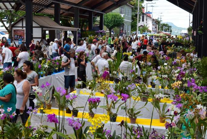 Exposição de orquídeas