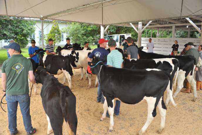 Julgamento dos animais em exposição foi realizado na manhã do dia 14