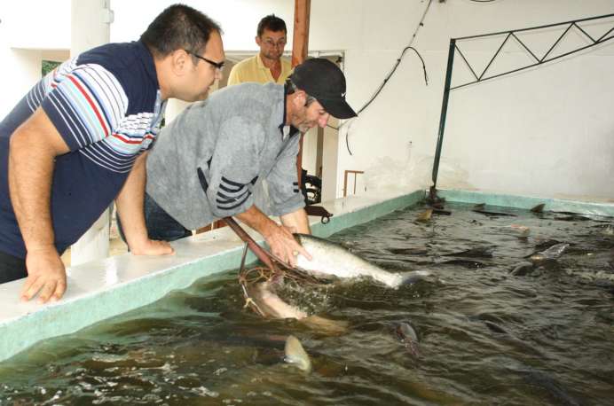 Mais de 80 feiras do peixe vivo já foram realizadas em Salvador do Sul