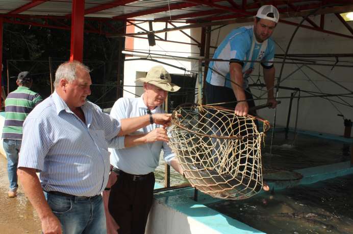 Cerca de 3,5 toneladas de carpas foram vendidas no Parque Municipal