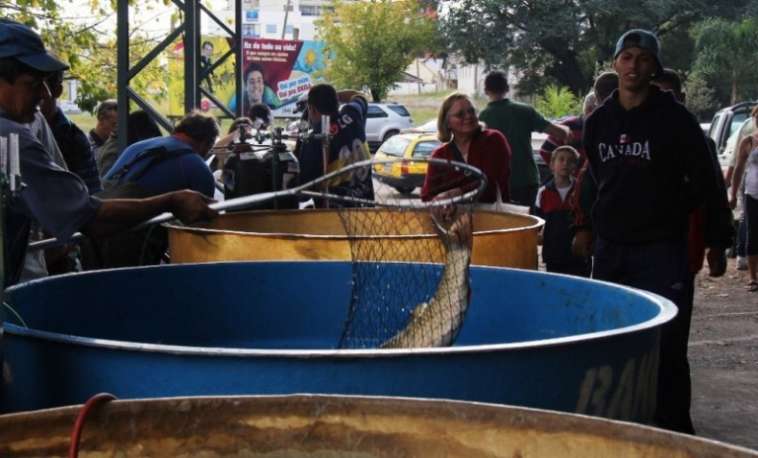 Feira do Peixe 2016