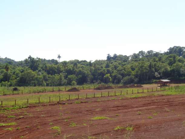 Pista de laço