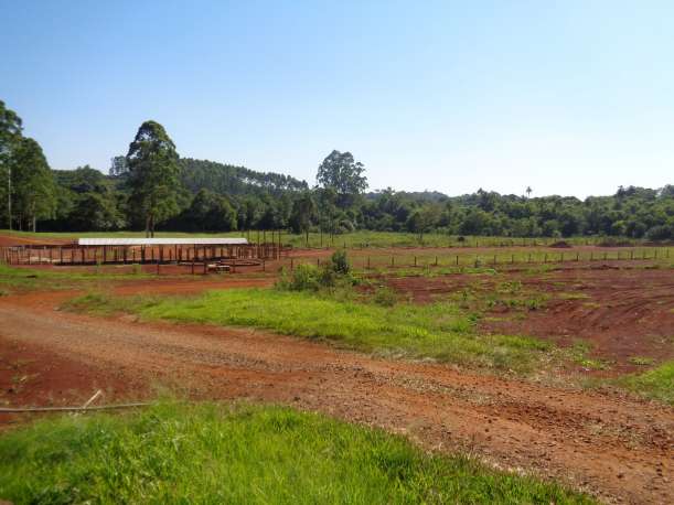 Pista de laço