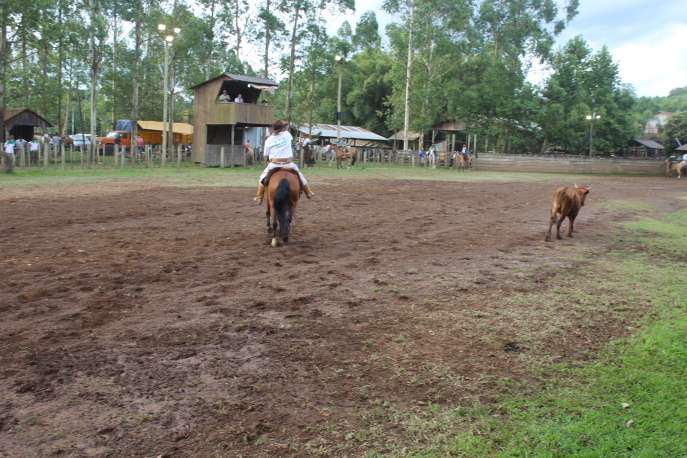 Rodeio