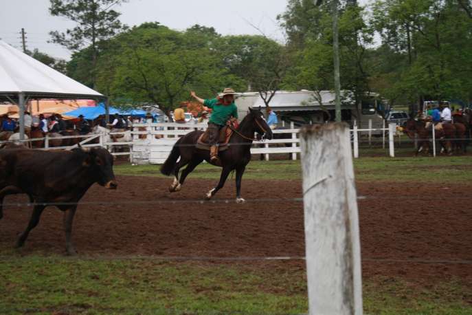 Rodeio