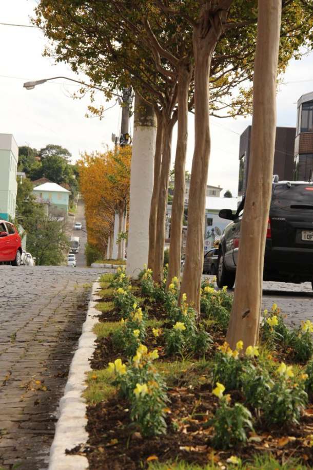 Rua Dr. Carlos Barbosa
