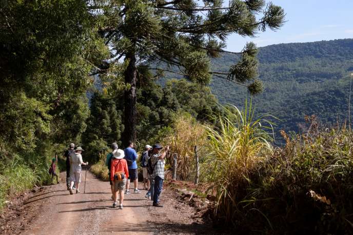 Caminhada Fotográfica