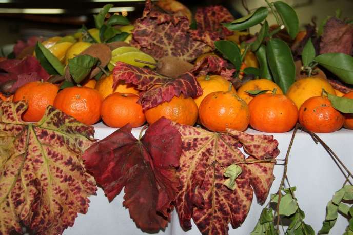 3º Aromas e Sabores