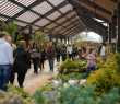 Festival da Primavera