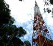 Torre de 325 metros será a maior para estudos climáticos