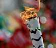 Tocha Olímpica dos Jogos Rio-2016
