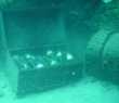 Caves submarinas