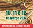 Festa Campeira