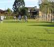 Futebol de campo