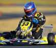 Brasileiro de kart