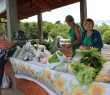 Venda de hortifrutigranjeiros